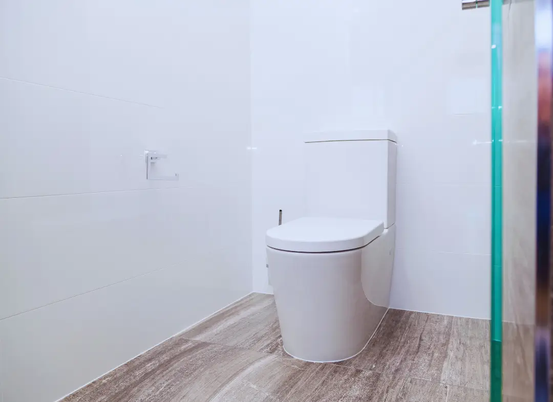 Remplacement de wc Yvrac